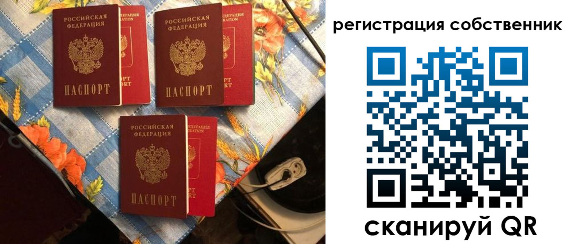 прописка в Элисте